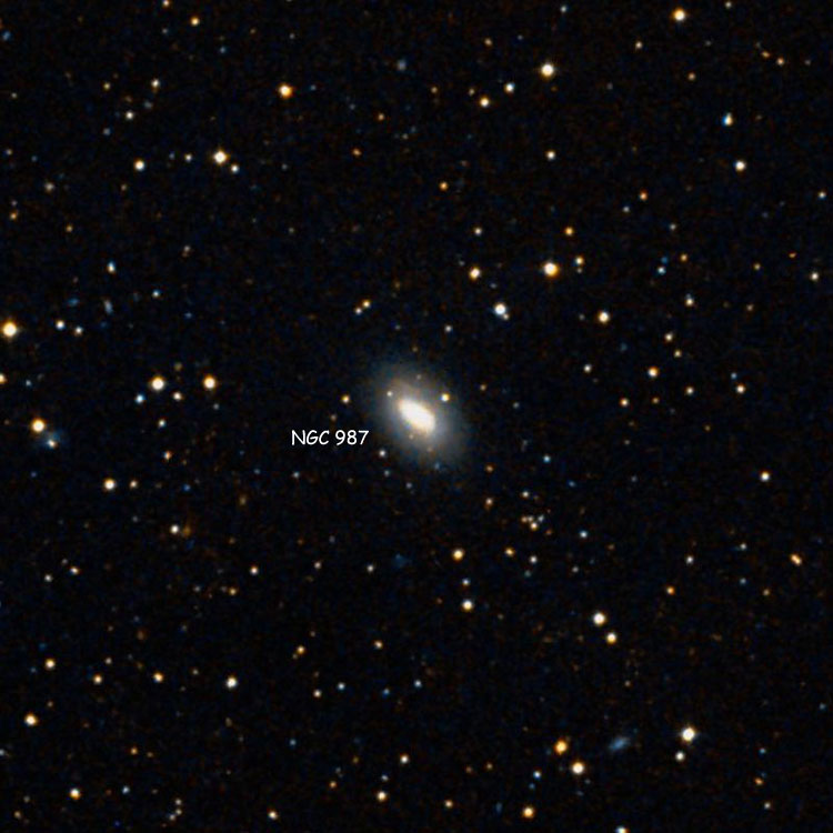 DSS image of region near lenticular galaxy NGC 987