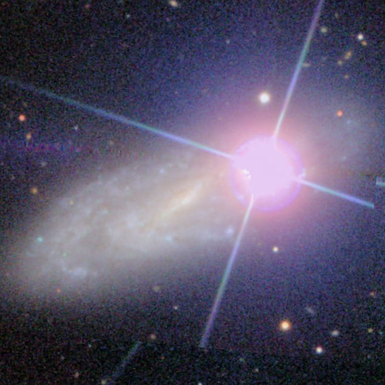 SDSS image of spiral galaxy NGC 988
