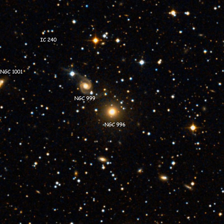 DSS image of region near elliptical galaxy NGC 996, also showing NGC 999 and NGC 1001