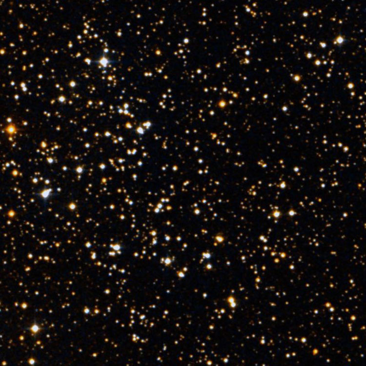 DSS image of region near open cluster OCL 535