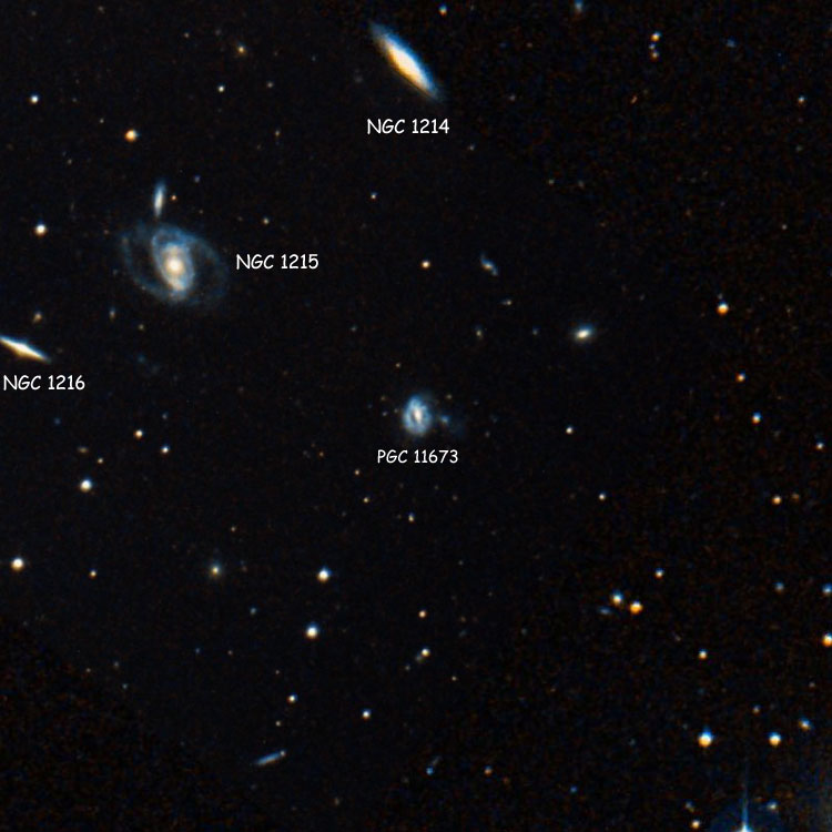 NOAO image of spiral galaxy PGC 11673, a member of Hickson Compact Group 23. Also shown are NGC 1214, NGC 1215 and NGC 1216, which are the other members of the Group