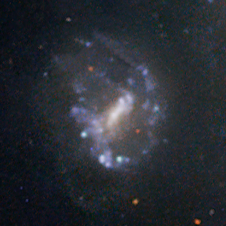 ESO image of spiral galaxy PGC 11834, also known as NGC 1232A, and as part of Arp 41