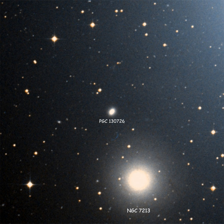 DSS image of region near elliptical galaxy PGC 130726, also showing NGC 7213