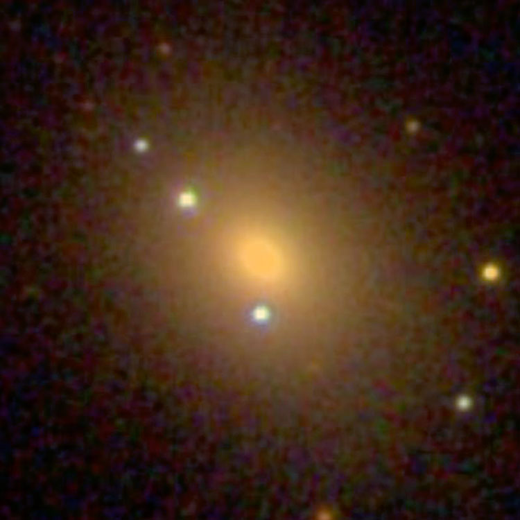 SDSS image of elliptical galaxy PGC 14852, which may be NGC 1539