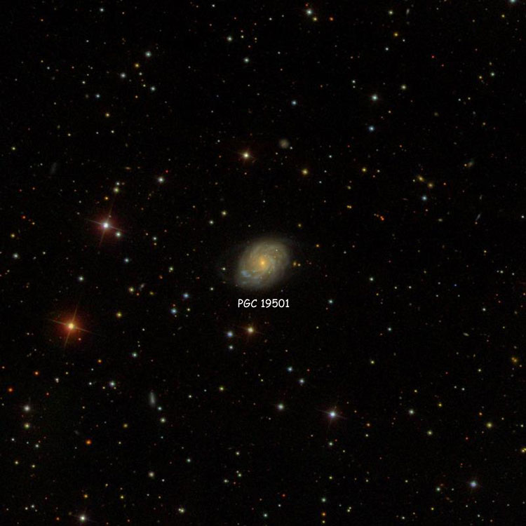 SDSS image of region near spiral galaxy PGC 19501, which is often misidentified as NGC 2253