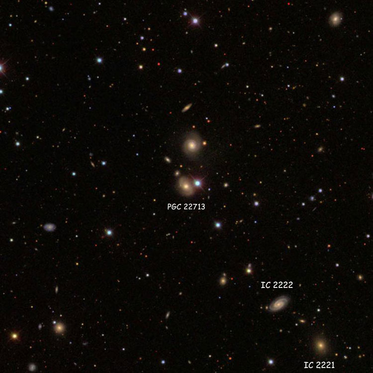 SDSS image of region near lenticular galaxy PGC 22713, which is sometimes misidentified as IC 2221; also shown are IC 2222 and the correct IC 2221