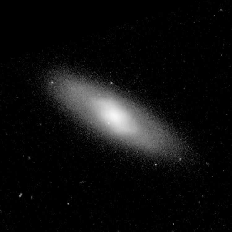 HST image of spiral galaxy PGC 2554198