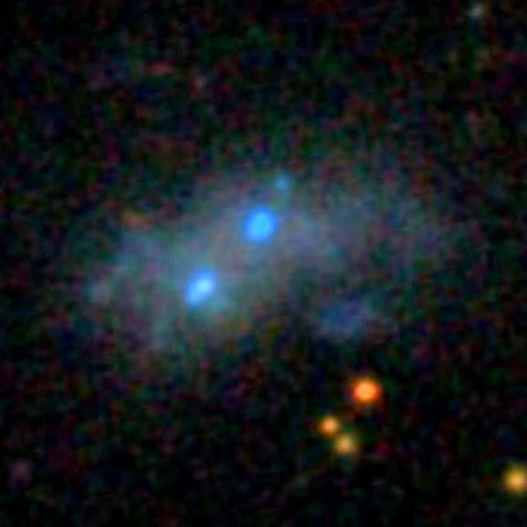 SDSS image of irregular galaxy PGC 25769, sometimes called NGC 2770A or NGC 2770B