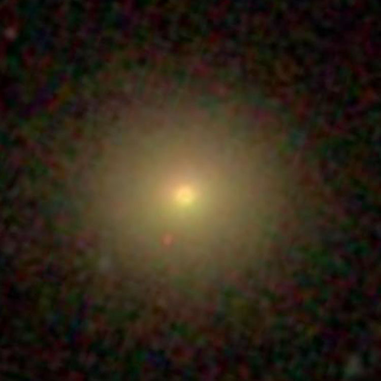 SDSS image of elliptical galaxy PGC 26820, a physical companion of NGC 2885