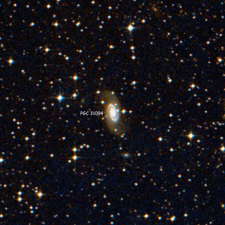 DSS image of spiral galaxy PGC 31094, sometimes also called NGC 3258D