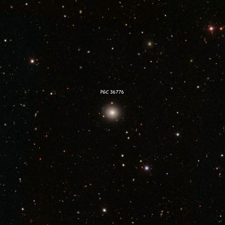 SDSS image of region near spiral galaxy PGC 36776, sometimes called NGC 3835A