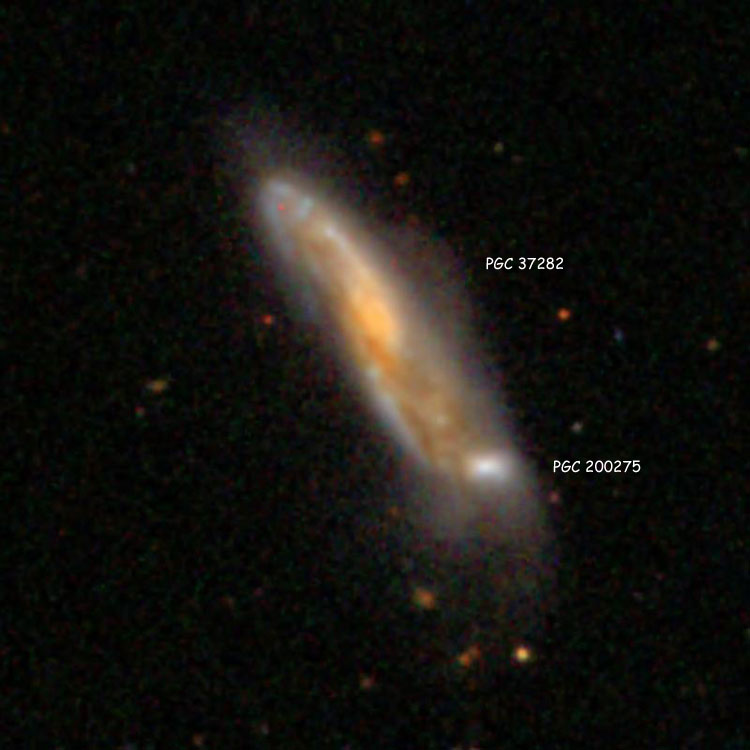 SDSS image of spiral galaxy PGC 37282 and its companion, PGC 200275, which comprise Arp 62