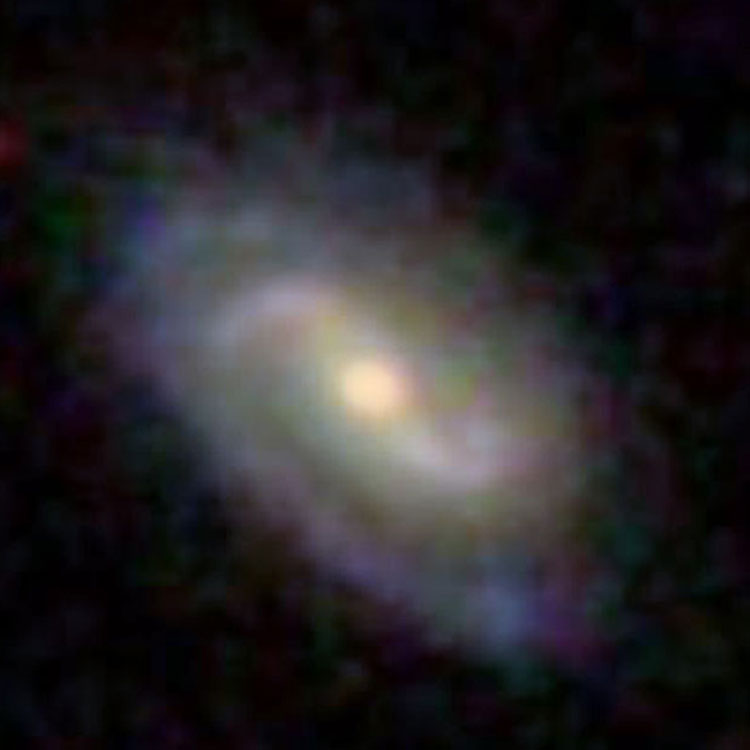 SDSS image of spiral galaxy PGC 37677, which is often misidentified as NGC 4009