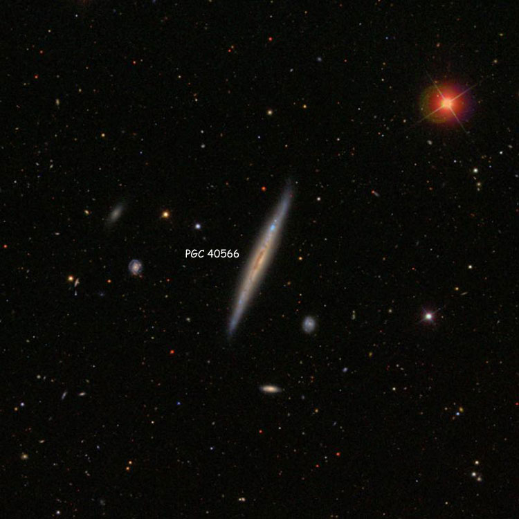SDSS image of region near spiral galaxy PGC 40566, sometimes called IC 3322A