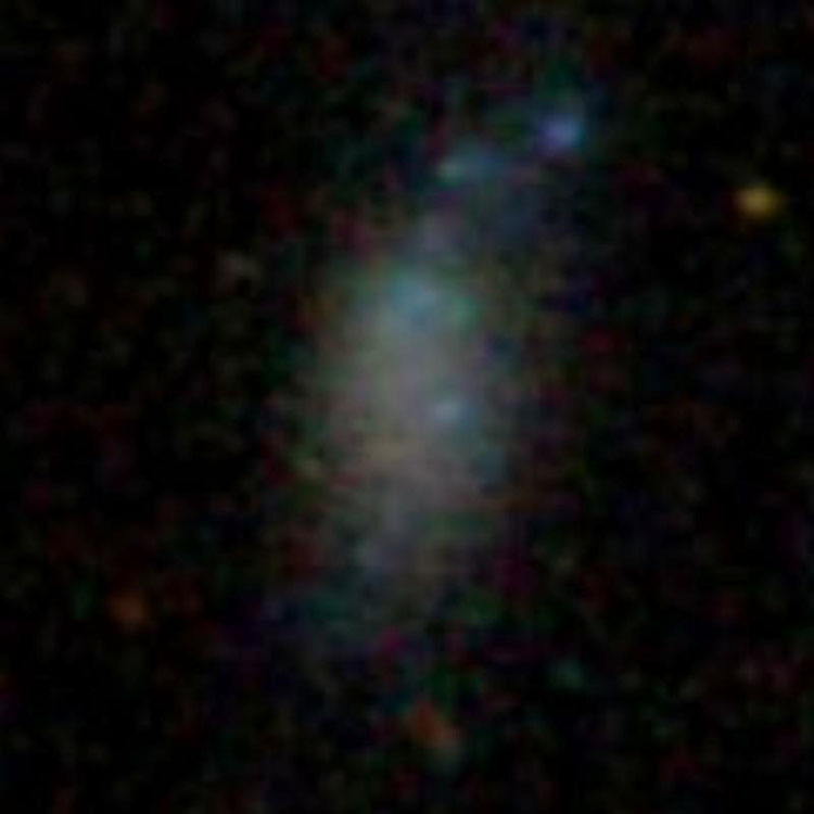 SDSS image of dwarf irregular galaxy PGC 4455