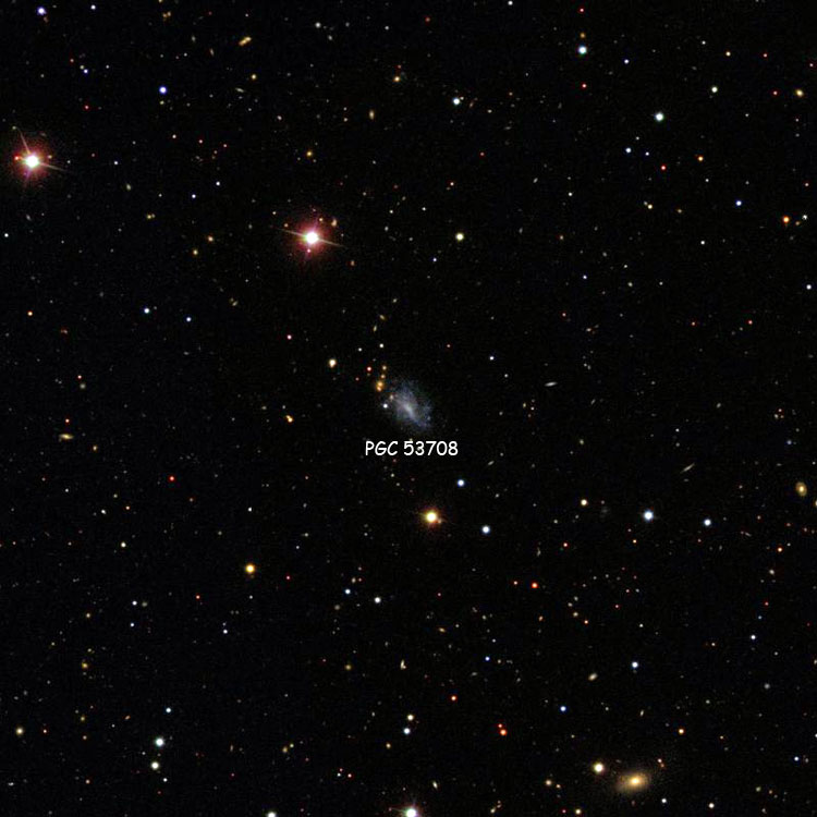 Wikisky SDSS image of region near PGC 53708