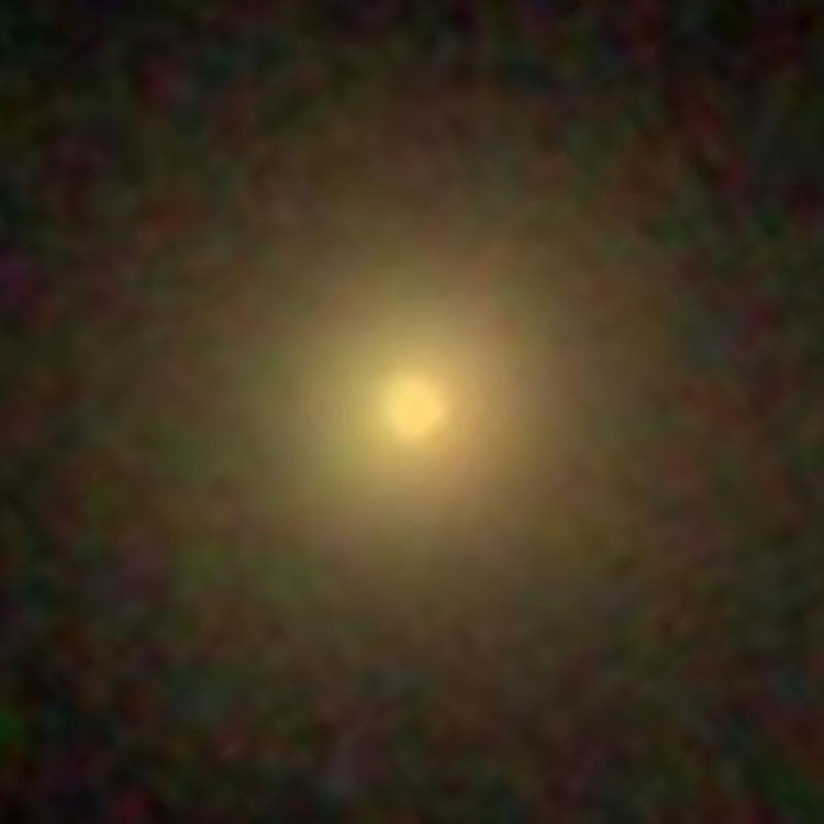 SDSS image of lenticular galaxy PGC 55563, which is sometimes called IC 4562A