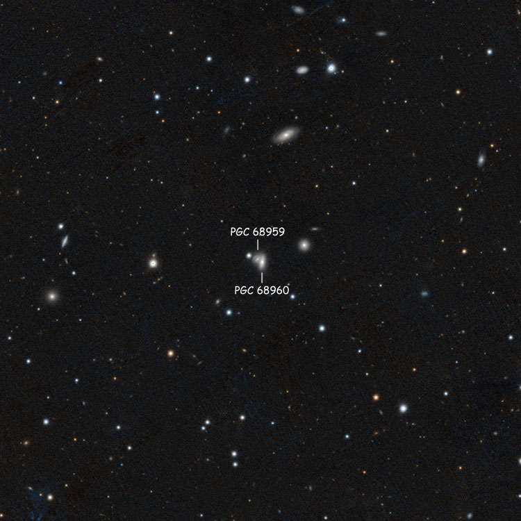 DSS image of region near the lenticular galaxy (PGC 68960) and star that Burnham thought might be NGC 7287; also shown is the much fainter and much more distant lenticular galaxy PGC 68959