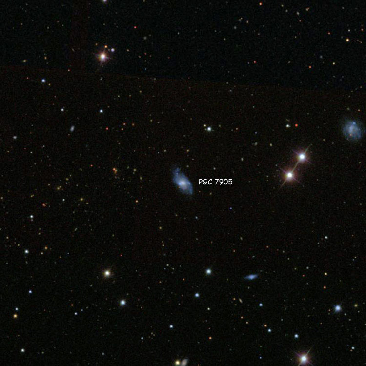 SDSS image of region near spiral galaxy PGC 7905, which is usually misidentified as NGC 811