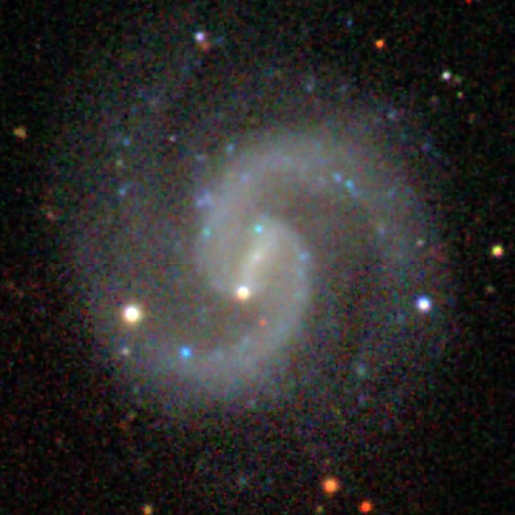 SDSS image of spiral galaxy NGC 4241