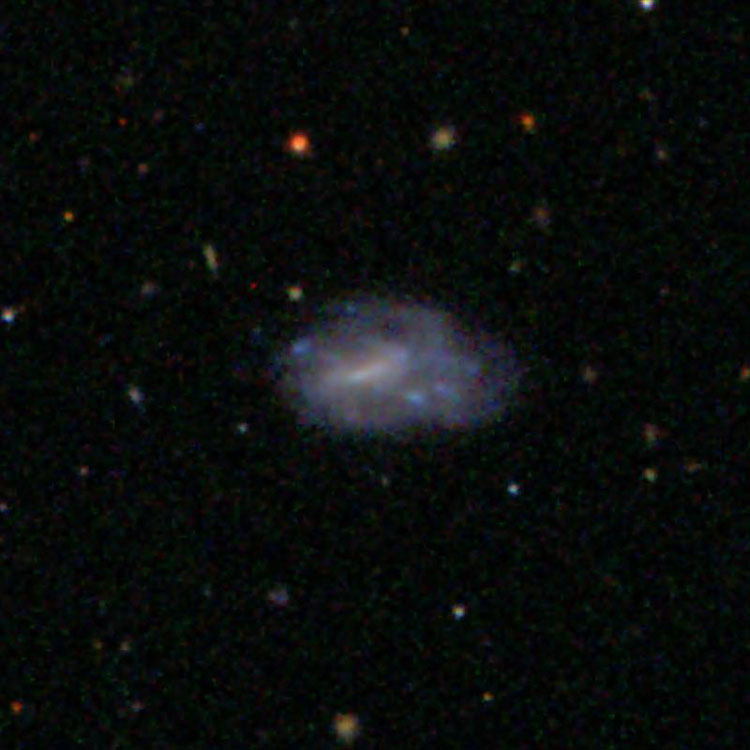 SDSS image of spiral galaxy IC 3500