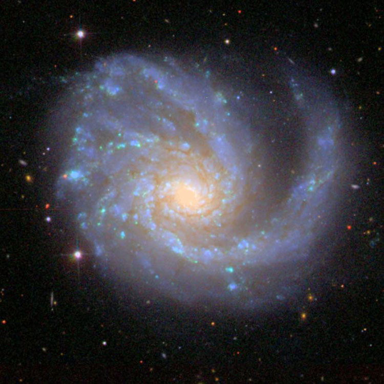 SDSS image of spiral galaxy NGC 4254, also known as M99