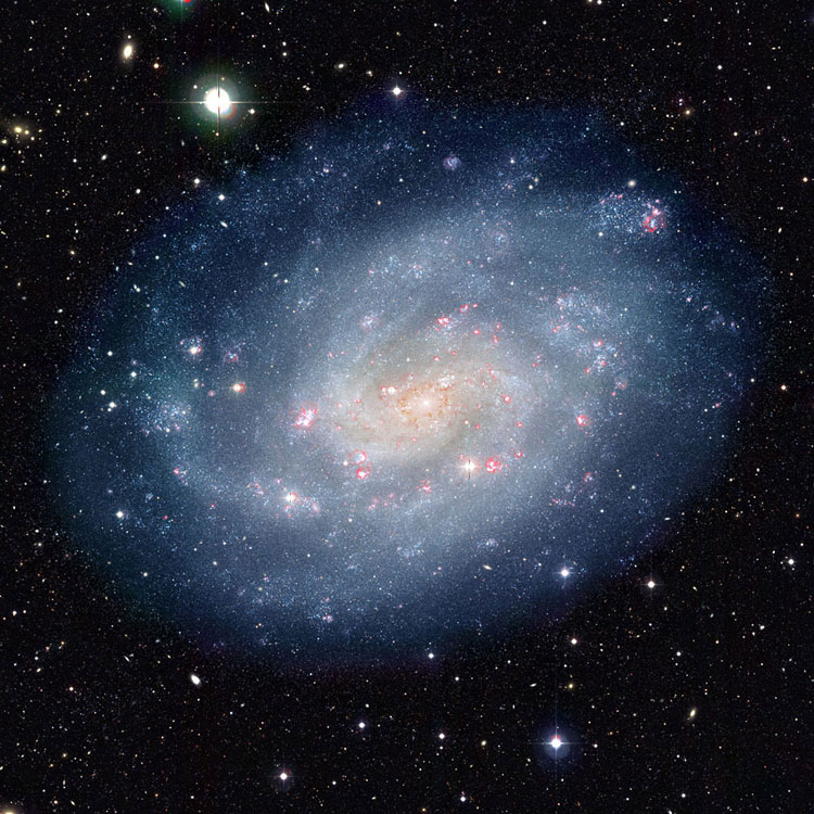 ESO visible-light image of spiral galaxy NGC 300
