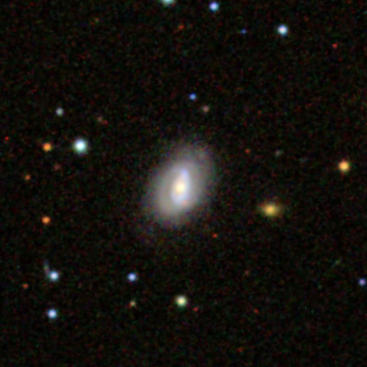 SDSS image of elliptical galaxy NGC 6006