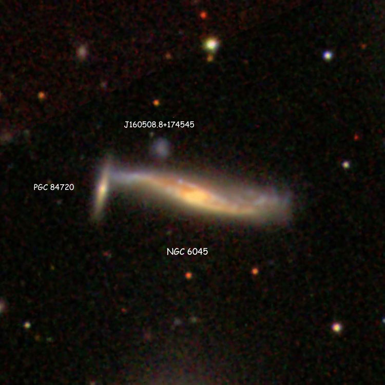 SDSS image of spiral galaxy NGC 6045 and its apparent companion, lenticular galaxy PGC 84720, which comprise Arp 71; also shown is SDSS J160508.8+174545, which is sometimes called NGC 6045C
