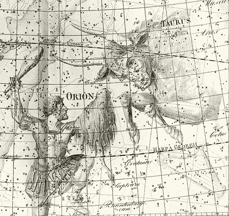 Portion of Bode's Uranographia showing Orion and Taurus
