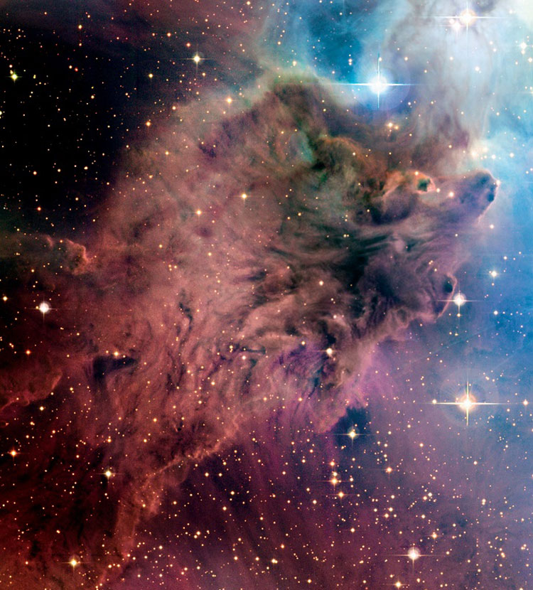 CFHT image of the Fox Fur Nebula
