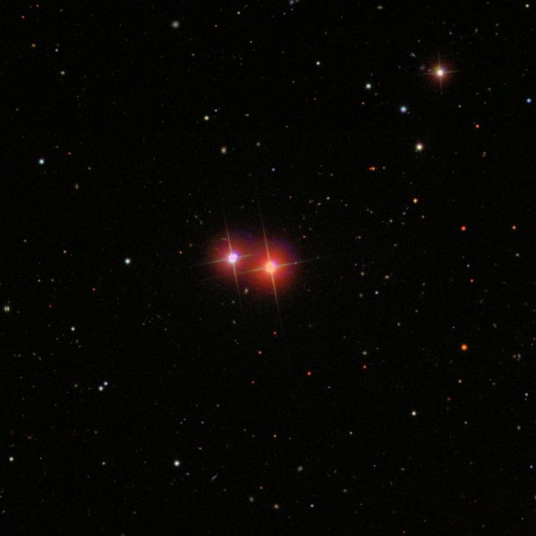 SDSS image of region near M40