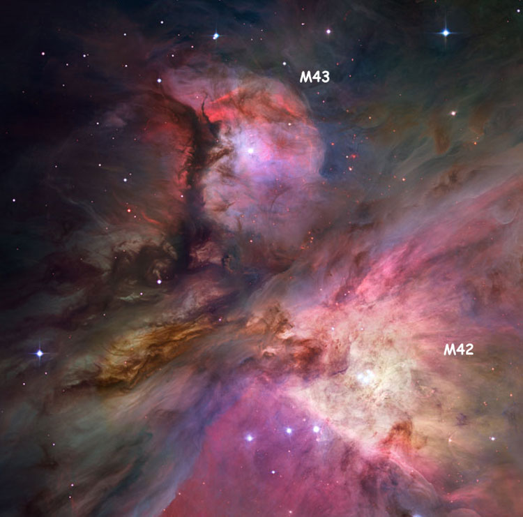 HST image of NGC 1982, also known as M43, a part of the Orion Nebula