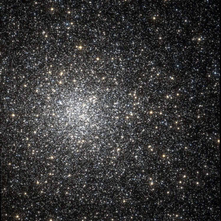 HST image of the core of globular cluster NGC 6266, also known as M62