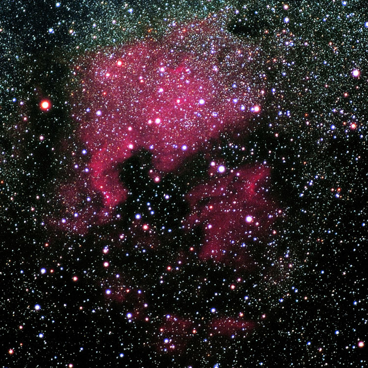 Luc Viatour image of region near emission nebulae NGC 7000 and IC 5070, also known as the North American and Pelican nebulae