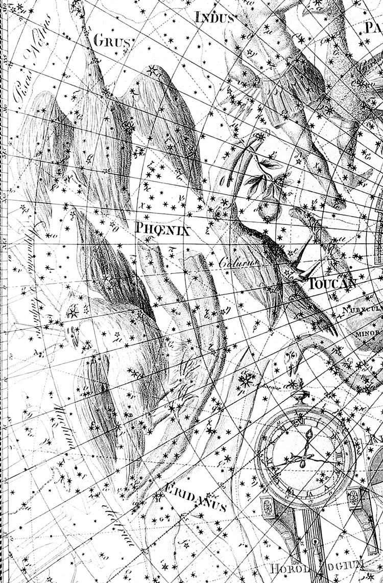 Portion of Bode's Uranographia showing the region near Phoenix