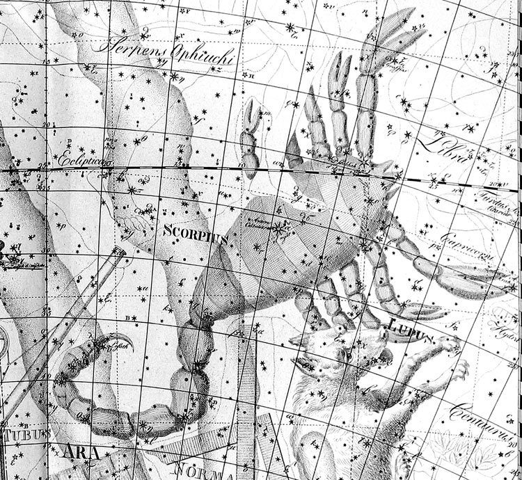 Portion of Bode's Uranographia showing the region near Scorpius