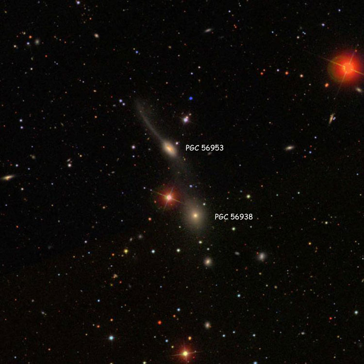 SDSS image of region near spiral galaxy PGC 56953 and lenticular galaxy PGC 56938, which comprise Arp 101
