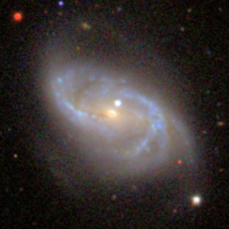 SDSS image of spiral galaxy NGC 2608, also known as Arp 12