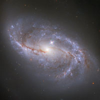 Arp 12 (NGC 2608)