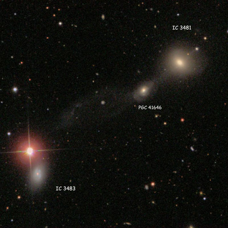 SDSS image of Arp 175 (also known as Zwicky's Triplet), consisting of lenticular galaxy IC 3481 and spiral galaxies IC 3483 and PGC 41646