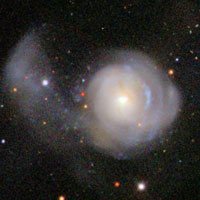 Arp 215 = NGC 2782
