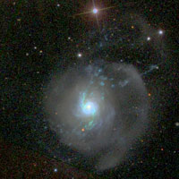 Arp 217 (NGC 3310)