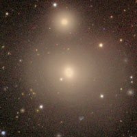 Arp 229 (NGC 507)