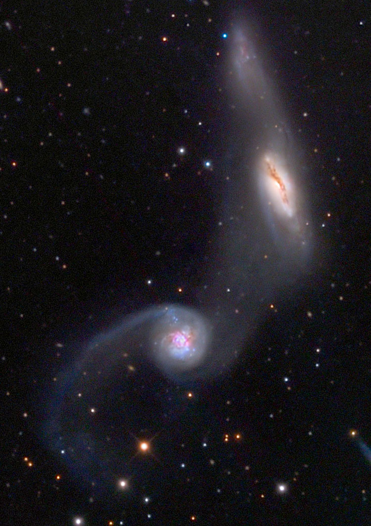 Mount Lemmon SkyCenter image of Arp 245, the pair of interacting spiral galaxies listed as NGC 2992 and NGC 2993