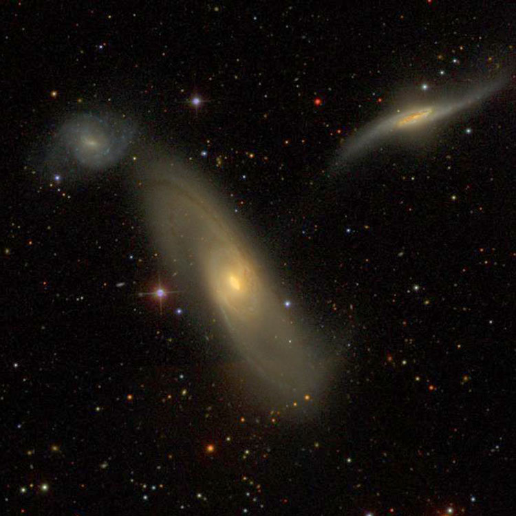 SDSS image of Arp 286, which consists of NGC 5560, NGC 5566 and NGC 5569