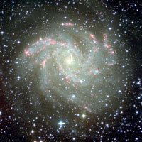 Arp 29 (NGC 6946)