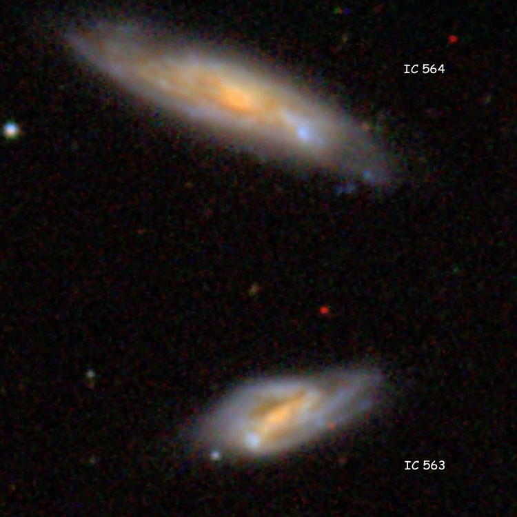 SDSS image of spiral galaxies IC 563 and 564, which comprise Arp 303