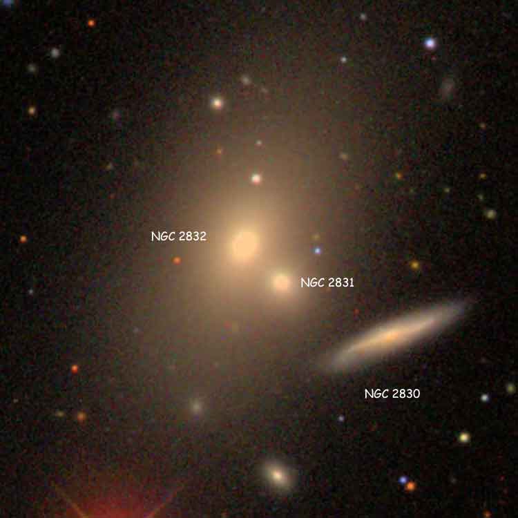 Labeled version of SDSS image of elliptical galaxy NGC 2831, lenticular galaxy NGC 2830 and elliptical galaxy NGC 2832, which comprise Arp 315