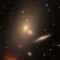 Arp 315 (NGC 2830 + NGC 2831 + NGC 2832)